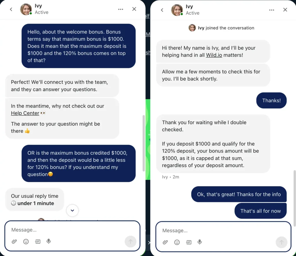 My Wild.io customer support test.