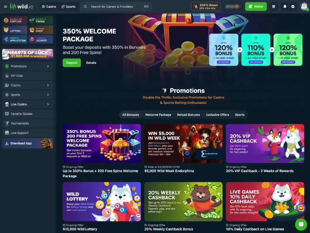 Wild.io promotions page with clear offers.
