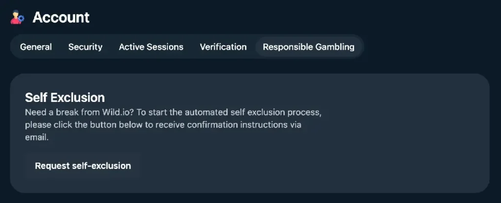 The Responsible Gambling screen on Wild.io.